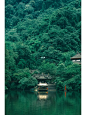 问道青城山 | 青城天下幽