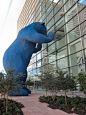 Denver, Colorado's 'Big Blue Bear'….peek a boo!