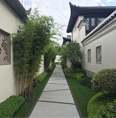 就酱吧Y采集到元素—汀步、台阶、园路、园桥