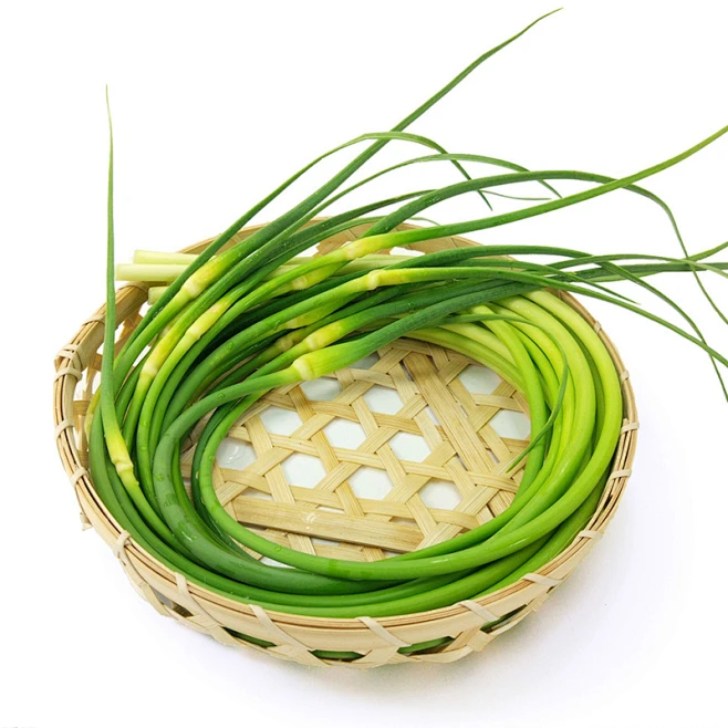 新鲜蒜苔现摘现发新鲜蔬菜蒜薹蒜台蒜苗5斤河南2019年鲜嫩特价-tmall.com天猫-花瓣网