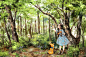 林间的小鸟 ~ 来自韩国插画家Aeppol 的「森林女孩日记」系列插画。