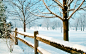 fences snow trees winter wallpaper (#330361) / Wallbase.cc