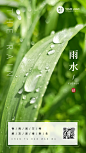 雨水节气祝福排版手机海报