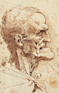 “Leonardo da Vinci sketch”的图片搜索结果