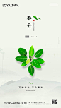 【源文件下载】 海报 春分 二十四节气 叶子 小清新