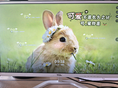 wGBg1KfI采集到山有扶苏