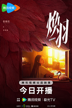 wllynn采集到人物海报