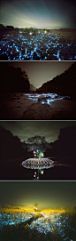 Starry Night: Light Installations by Lee Eunyeol.