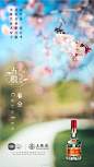 五粮液
#春分# 春色正中分，春光渐明媚，春水清澈鱼儿若游晴空，春风荡漾吹动纸鸢高飞，春林正盛招惹莺歌燕舞，春苗茁壮孕育五粮丰硕，春酒浓醇香醉美景良辰，春光灿烂点亮“赢”战曙光