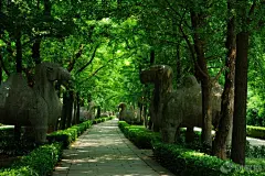 ?【特攻】南京第一名片&amp;#8212;&amp;#8211;明孝陵?城市是靠记忆而存在。作为现存南京最辉煌最直观最有规模的记忆载体莫过于明孝陵了。 (更多??