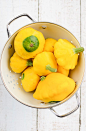 yellow squashes | scandi foodie