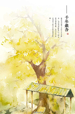 诺兮儿采集到画集-古风