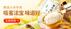 樱草蓝采集到Banner