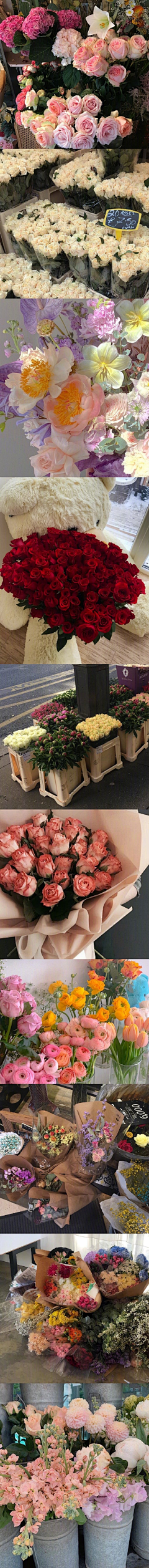 一朝君王采集到花卉构图