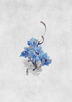 wFy_迷鹿采集到花卉