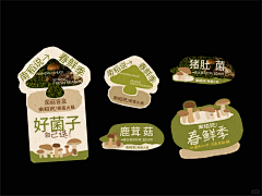 皮皮小小宝宝采集到版式