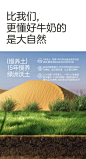 圣牧有机纯牛奶（详情_02