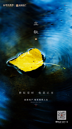 冬日朝阳采集到节日素材