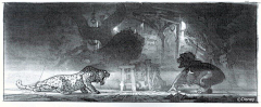 Charlie_jiao采集到Charlie_jiao