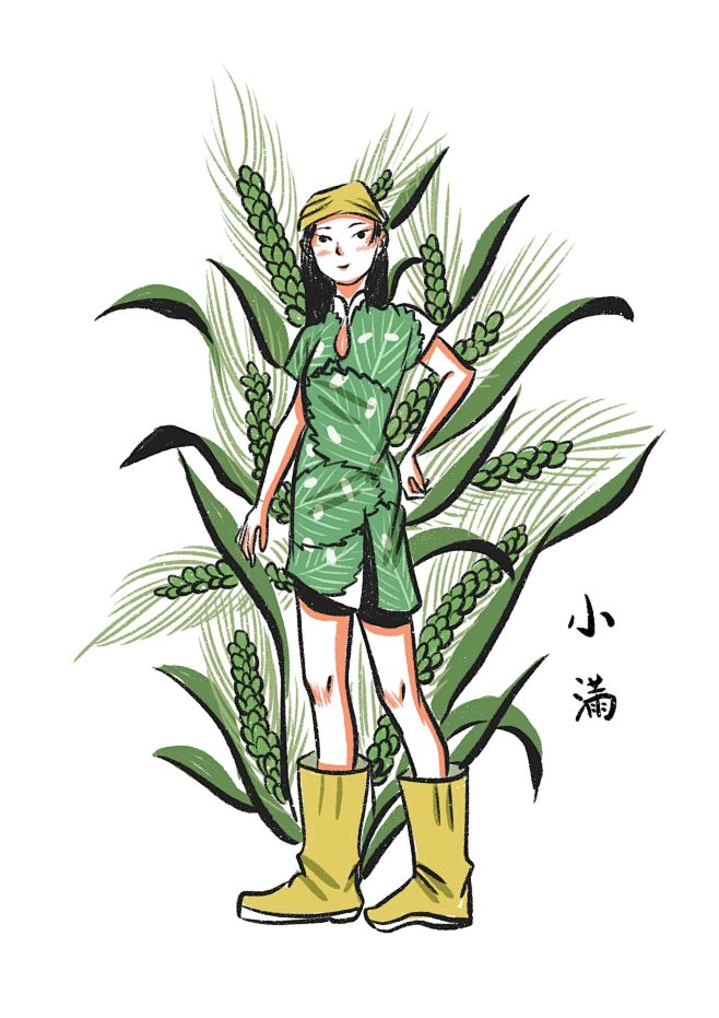 旗袍24节气拟人-小满 - 兔道格斯 -...