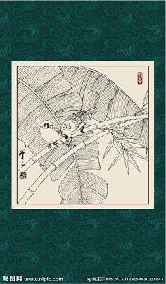 澜澜888