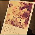 绿野仙踪 韩国水彩插画明信片 5枚入 单面彩印【12元起包邮】-淘宝网