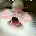 老驴学设计