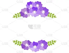 矢量插图的花。Nemophila。背景。
