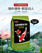 德瑞锦鲤鱼饲料金鱼鱼食螺旋藻色扬育成小颗粒增色鱼粮增体5斤-tmall.com天猫