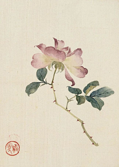 winni苑林兮采集到手绘