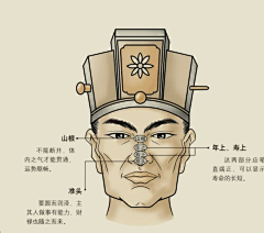 胖发达采集到中医