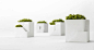 CJWHO ™ (Metaphys Planters Resemble Miniature Sustainable...) : Metaphys Planters Resemble Miniature Sustainable Buildings