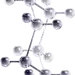 分子 细胞