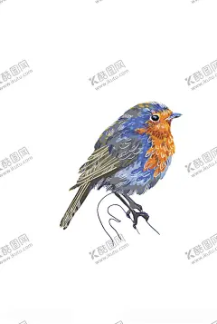 复古手绘彩色小鸟 【酷图网】中式玄关,流水长流,流水生财,瀑布,流水,手绘,工笔,大气,水墨,新中式,中式,古典,怀旧,古代,意境,工笔画,国画,山水,风景,山水画,风光画,玄关背景墙,玄关,屏风,背景墙,装饰画,壁画,水墨山水,背景,中式山水,水墨装饰画,山水装饰画