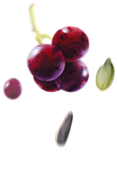 Ryvita | RYVITA® : R...