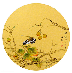 qDOTMvxk采集到花鸟