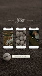 Pin page