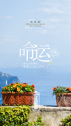 兵哥bing采集到画册