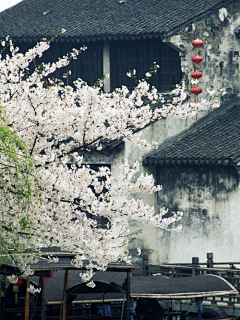 治愈系❤采集到风景