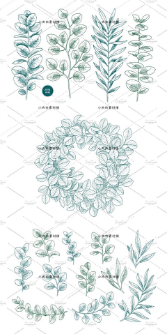邻家菲菲采集到青青子芩