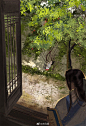 愿世间一切安好，春去秋来你都在。[心]
古风人物场景插画。（画师@刘小麦同学 ）
#古风插画# ​​​