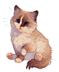 毛茸茸的猫猫狗狗 giulialibard #中央美术... 来自美术艺考周蜜 - 微博