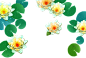 27076811_p0