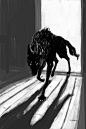 reposted from Stone Lions -  (stonelions on tumblr) - the words on the original post are mighty as well.: Damaged, Inspiration, Wolf, Stonelions, Art, Wolves, Clean House, By