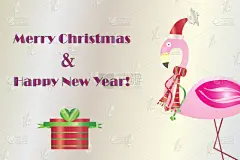 旋转类游乐,火烈鸟,圣诞卡,传统,贺卡,新年前夕,雪,动物,鸟类,礼物