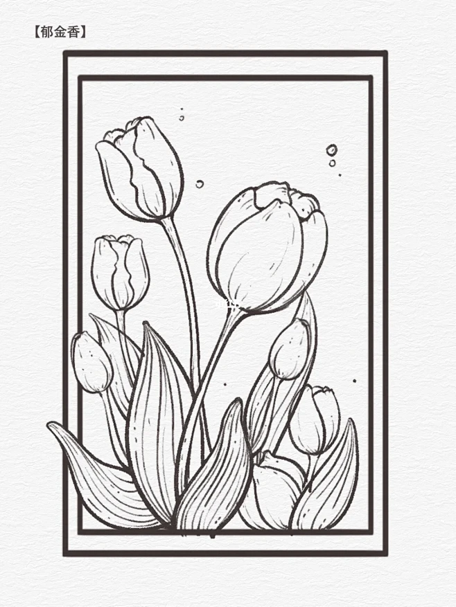 零基础学插画｜花卉线稿合集六宫格~