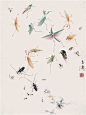 美呆头王雪涛（1903~1982）------他注重写生，尤善于描绘大自然中的小生命，如蝴蝶、螳螂、蝈蝈、天牛、青蛙、蜻蜓、马蜂等，栩栩如生，引人喜爱。