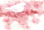 水彩，鸟











©emimino

アンティークケージ

(11张)