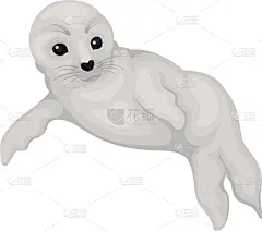 小海豹,扁平化设计,可爱的,外套,灰色,野生动物,狮子,模板,哺乳纲,游泳