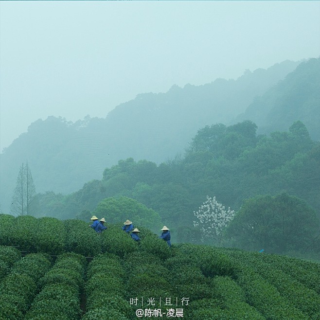 《烟雨春生，念故人》